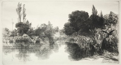 Shere Mill Pond The Larger Plate, 1860. alkotó: Francis Seymour Haden