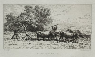 Ökörcsapat alkotó: Francis Seymour Haden
