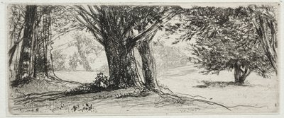 A Holly Field alkotó: Francis Seymour Haden