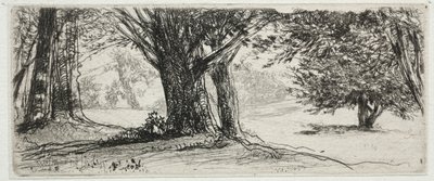 A Holly Field. alkotó: Francis Seymour Haden