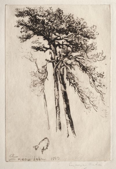 A legújabb fa alkotó: Francis Seymour Haden