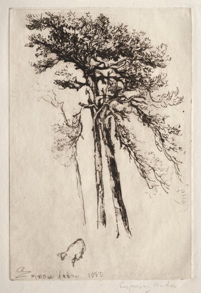 A legújabb fa, 1882. alkotó: Francis Seymour Haden