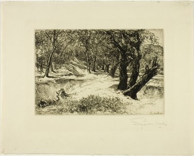 A három nővér alkotó: Francis Seymour Haden