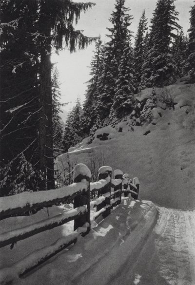 Az Alpok: Téli reggel, St Anton közelében (f/w fotó) alkotó: Francis Sydney Smythe