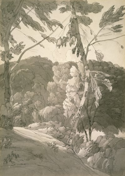 No.1091 Erdős táj (Egy jelenet Indinowle-ban) 1783 (ceruza, toll és tinta mosással, papíron) alkotó: Francis Towne
