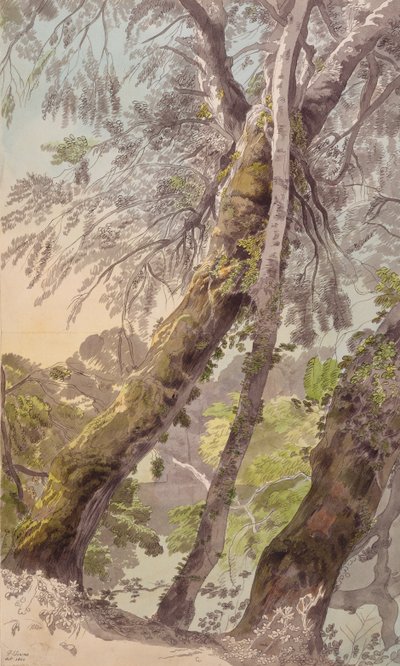 Fák túlnyúló víz alkotó: Francis Towne