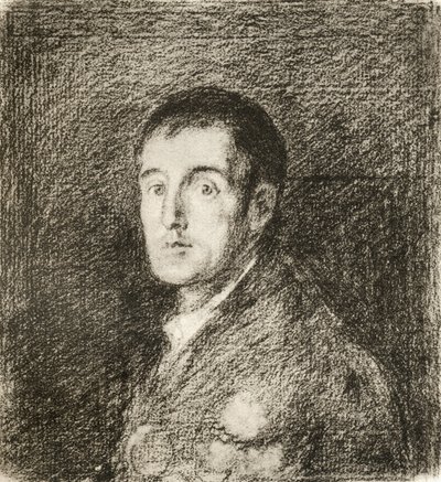 Arthur Wellesley alkotó: Francisco (after) Goya y Lucientes