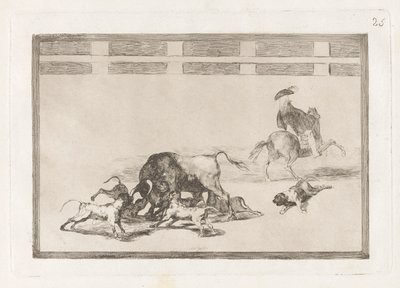 Echan perros al toro (Ellazultak a kutyák a bikán), 25. tábla a La tauromaquiától alkotó: Francisco de Goya