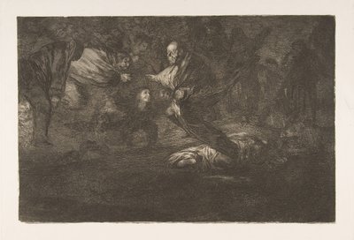 18. tábla a „Különbözők”-ből: Egy tollmadarak összecsapódnak, kb. 1816-23, 1864-ben megjelent. alkotó: Francisco de Goya