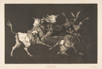 D tábla a Különbözőktől: Bolondok vagy kis bikák – ostobaság, kb. 1816-23, 1877-ben megjelent. alkotó: Francisco de Goya