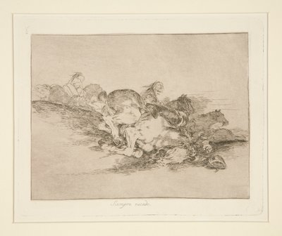 Mindig megtörténik (It Always Happens), pl. 8 A háború katasztrófáiból alkotó: Francisco de Goya