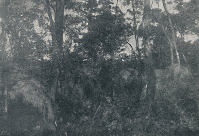 Indiai kabinok, 1895 alkotó: Francisco Henszler