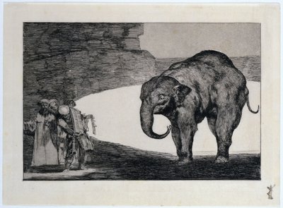 Teljesen őrült dolog, au: További közmondás: Egyéb, a nép által hozott törvények alkotó: Francisco Jose de Goya y Lucientes
