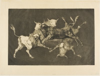 Bolondok bolondsága, a Disparatestől alkotó: Francisco Jose de Goya y Lucientes