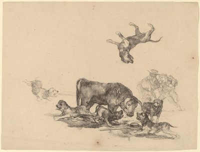 Kutyák által megtámadt bika alkotó: Francisco de Goya