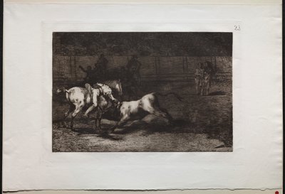 Bikaviadalok: Mariano Ceballos, Alias az indián, megöli a bikát a lováról alkotó: Francisco de Goya