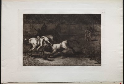 Bikaviadalok: Mariano Ceballos, Alias the Indian, Kills the Bull from his Horse, 1876. alkotó: Francisco de Goya