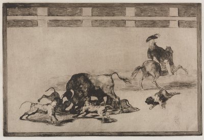 Bikaviadalok: Elengedik a kutyákat a bikán, 1876. alkotó: Francisco de Goya