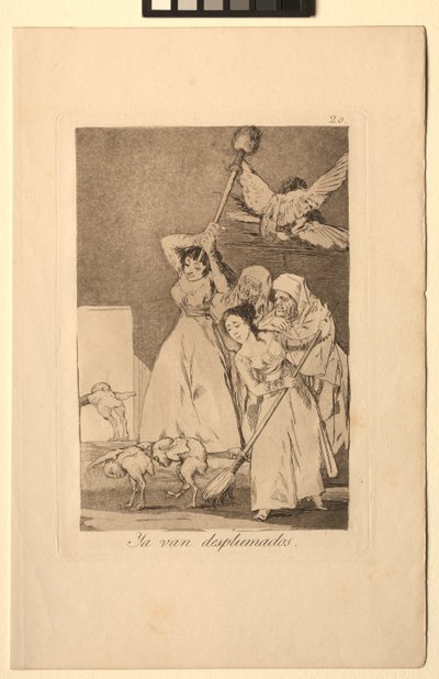 Caprichos: There They Go Plucked, azaz gyapjú. alkotó: Francisco de Goya