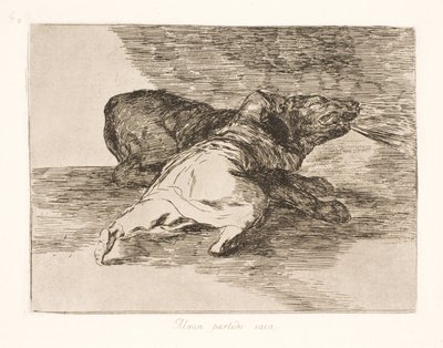 Kihoz belőle valamit! (40) alkotó: Francisco de Goya