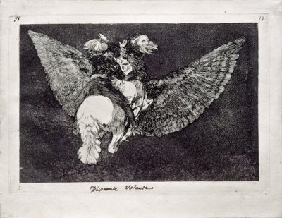 Flying Folly a Los Disparates Follies sorozatból, 1815-1819 alkotó: Francisco de Goya