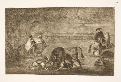 A kutyák rá vannak csiszolva a bikára alkotó: Francisco de Goya