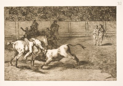Maria Ceballas, más néven indián, leöli a bikát a lováról alkotó: Francisco de Goya