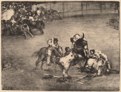 Picador, akit elkapott egy bika alkotó: Francisco de Goya
