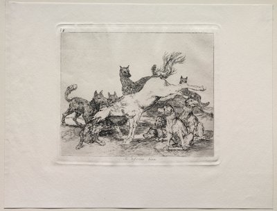 A háború borzalmai: jól védi magát. alkotó: Francisco de Goya