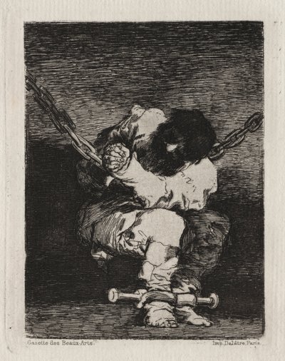 A kis fogoly alkotó: Francisco de Goya
