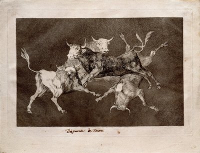 Bolond bolondság alkotó: Francisco de Goya