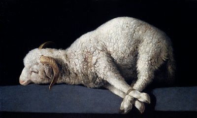 Agnus Dei alkotó: Francisco de Zurbaran