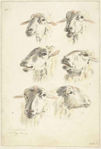 Tanulmányi lap hat birkafejjel alkotó: Franciscus Andreas Milatz (attributed to)