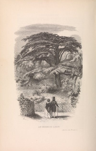A botanikus kert, Az emlősök leírása és viselkedése, 1842. alkotó: Francois Boitard