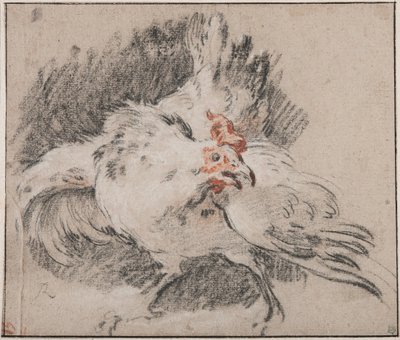 Egy kakas tanulmányozása alkotó: François Boucher