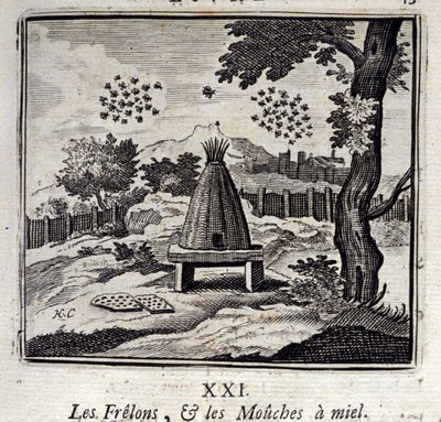 Hornets és méz legyek. Jean de La Fontaine (1621-95) meséi. Illusztráció: Francois Chauveau (1613-1676). 1728-as kiadás. alkotó: Francois Chauveau