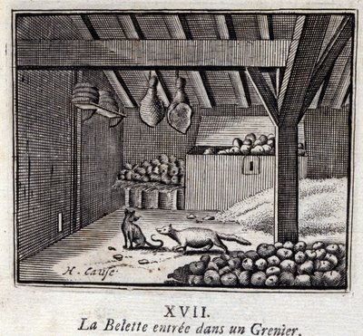 La Weasette belépett egy Grenier-be. Jean de La Fontaine (1621-95) meséi. Illusztráció: François Chauveau (1613-1676). 1728-as kiadás. alkotó: Francois Chauveau