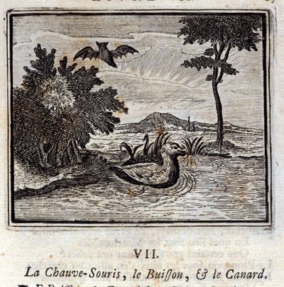 A denevér, a bokor és a kacsa. Jean de La Fontaine (1621-95) meséi. Illusztráció: François Chauveau (1613-1676). 1728-as kiadás. alkotó: Francois Chauveau