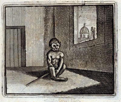 A majom. Jean de La Fontaine (1621-95) meséi. Illusztráció: François Chauveau (1613-1676). 1728-as kiadás. alkotó: Francois Chauveau