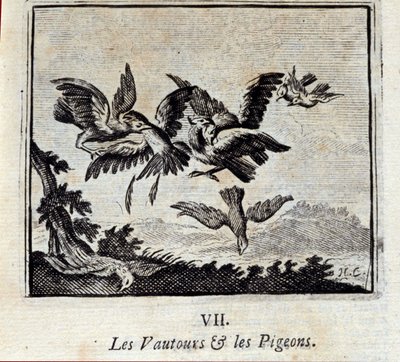 Keselyűk és galambok. Jean de La Fontaine (1621-95) meséi. Illusztráció: Francois Chauveau (1613-1676). 1728-as kiadás. alkotó: Francois Chauveau