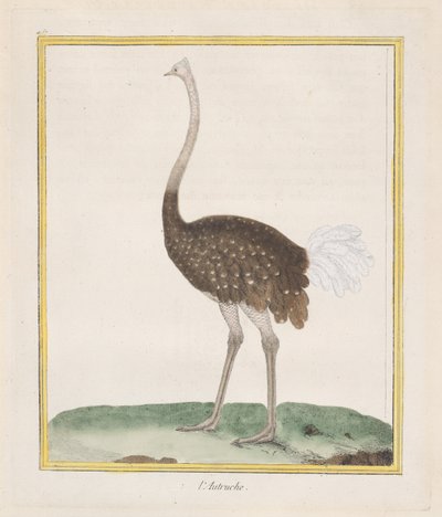 Strucc Strucc, 1770-86. alkotó: Francois Nicolas Martinet