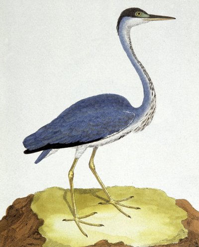 A gém alkotó: Francois Nicolas Martinet