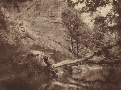 Riverbank,c. 1855 (fotó) alkotó: Frank Chauvassaigne