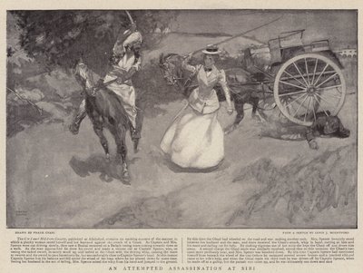 Merényletkísérlet Sibinél alkotó: Frank Craig