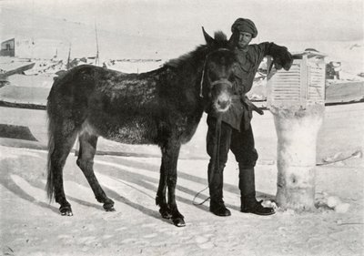 Gran öszvér Lal Khannal, c1911, 1913 alkotó: Frank Debenham