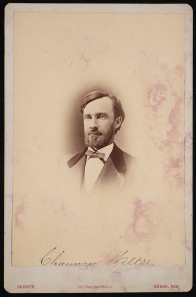 Chauncey Wiltse portréja 1834-1894, 1875-1876. alkotó: Frank F Currier