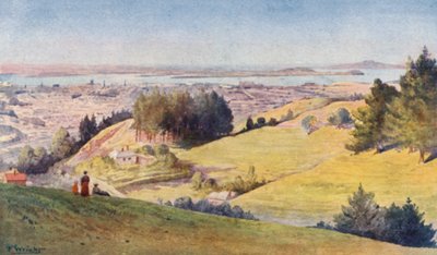 Új-Zéland: Auckland (színes litográfia) alkotó: Frank H Wright