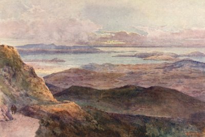 Új-Zéland: Coromandel (színes litográfia) alkotó: Frank H Wright