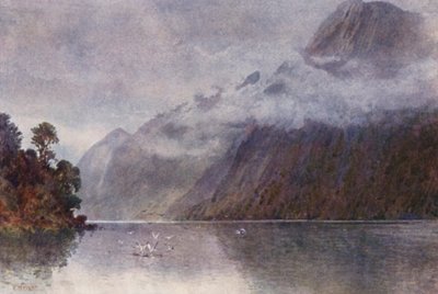 Új-Zéland: Milford Soundban (színes litho) alkotó: Frank H Wright