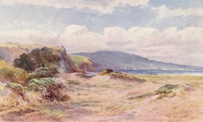 Új-Zéland: Ngunguru tengerpartján (színes litográfia) alkotó: Frank H Wright